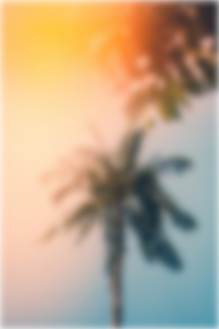 The backdrop with a blur radius of 6