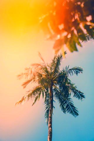 The backdrop with boosted saturation