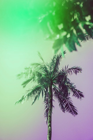 The backdrop with hues rotated 90 degrees